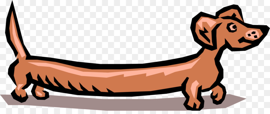 Perro Tejonero，Perro PNG