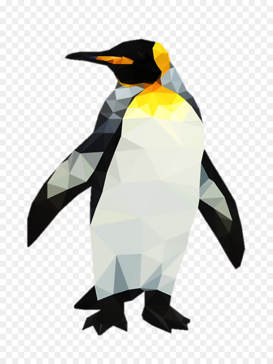 Pingüino Rey，Pingüino PNG