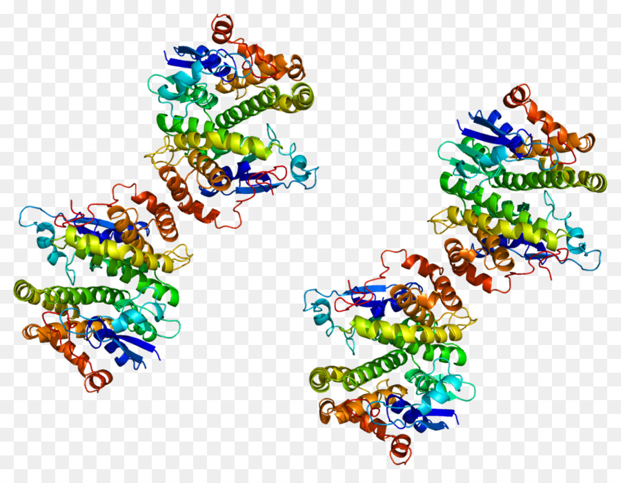 Gstm4，El Glutatión Stransferase PNG