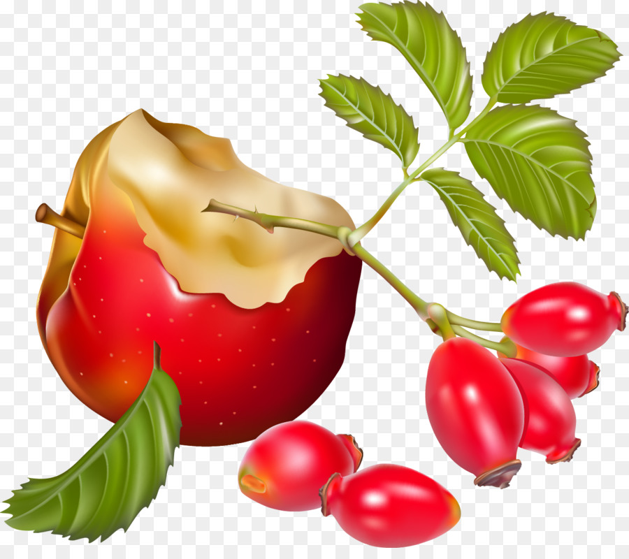 Apple，Cereza De Barbados PNG