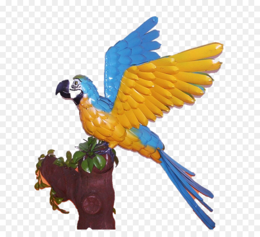 Guacamayo，Parakeet PNG