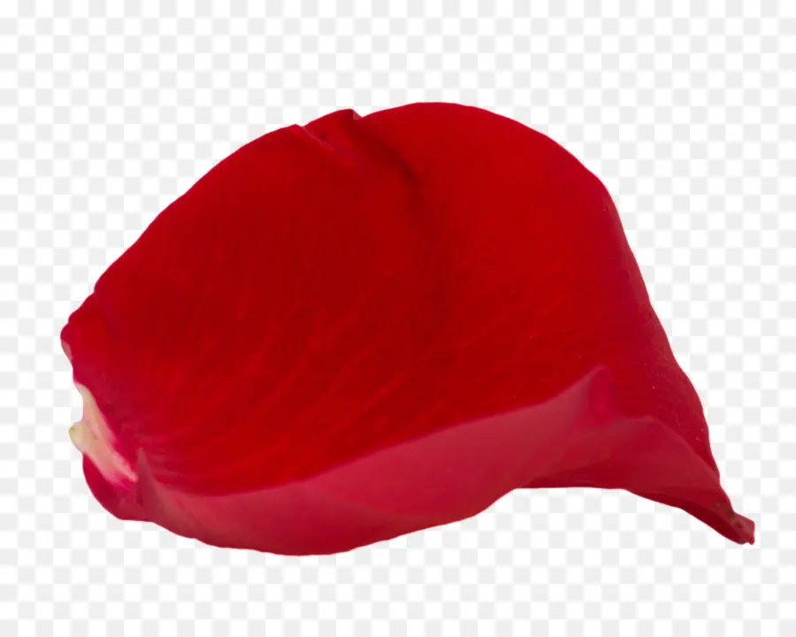 Pétalo De Rosa Roja，Flor PNG