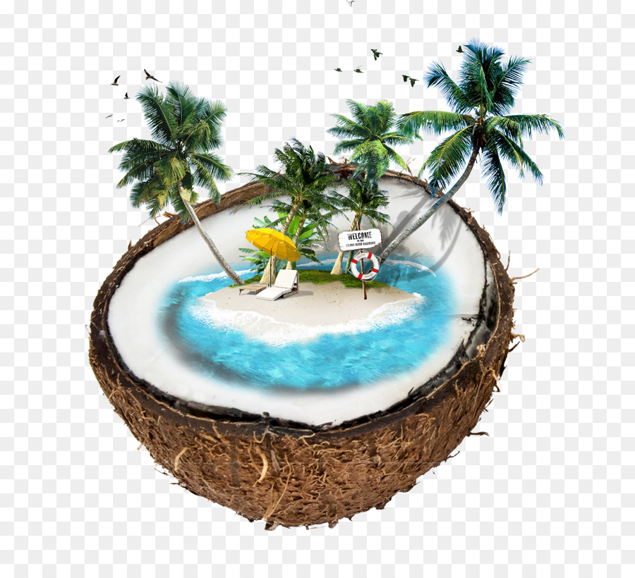 Isla，Coco PNG