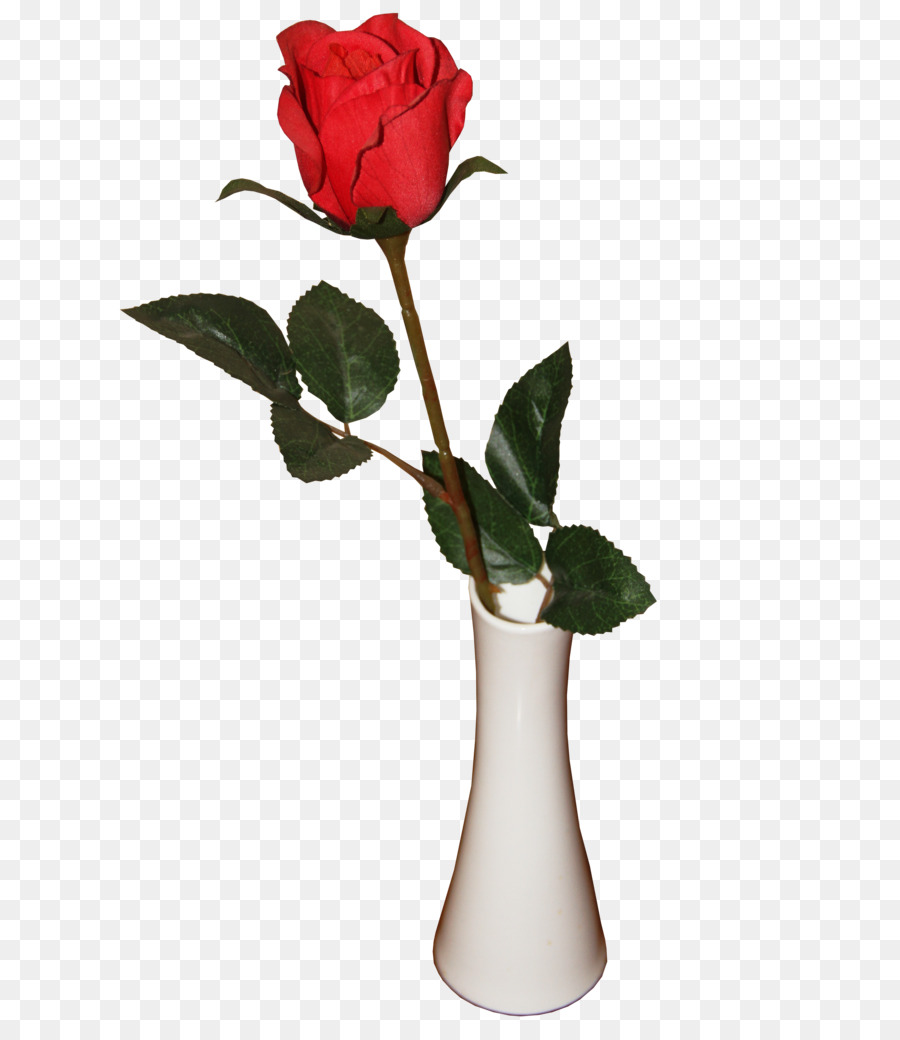 Rosa，Rojo PNG