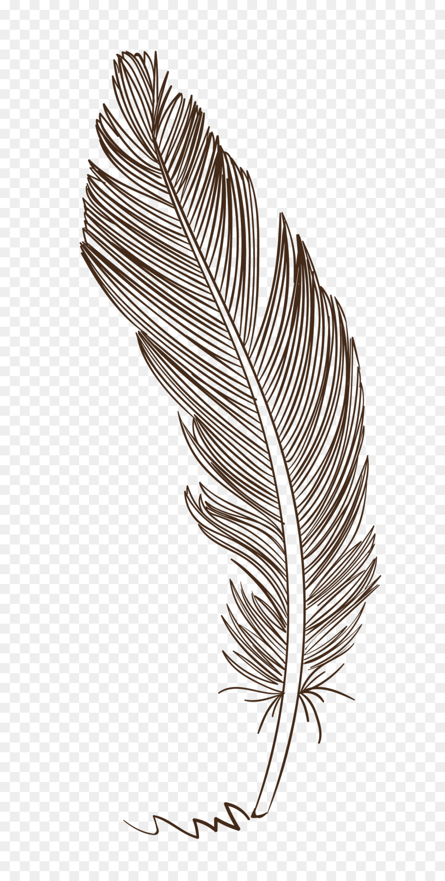 Pluma，Marrón PNG