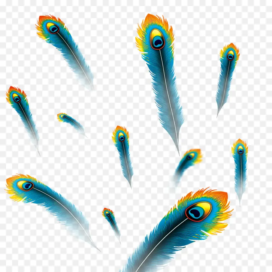 Plumas De Pavo Real，Vistoso PNG