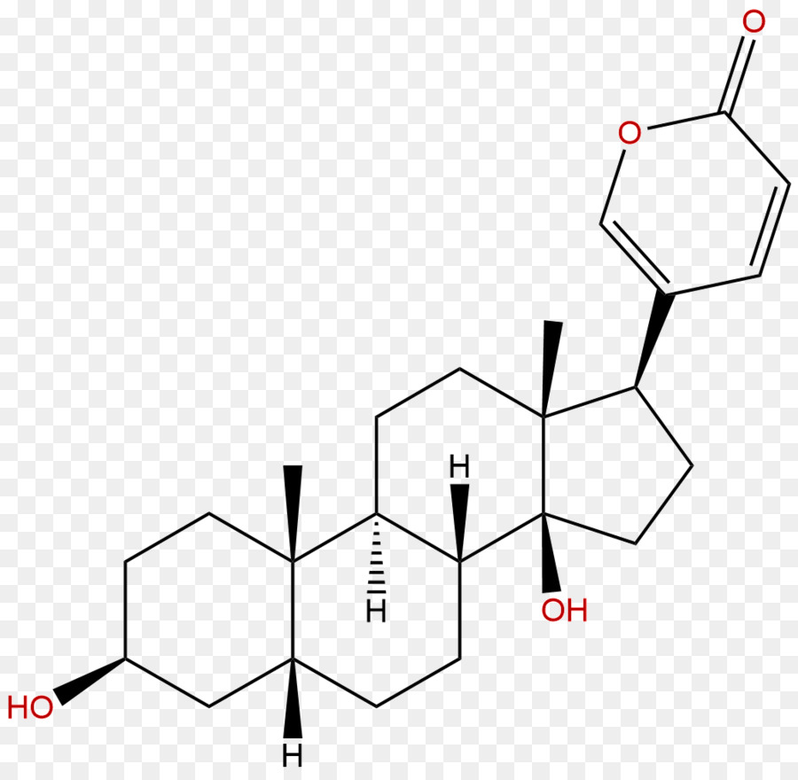 El ácido Cólico，De ácidos Biliares PNG
