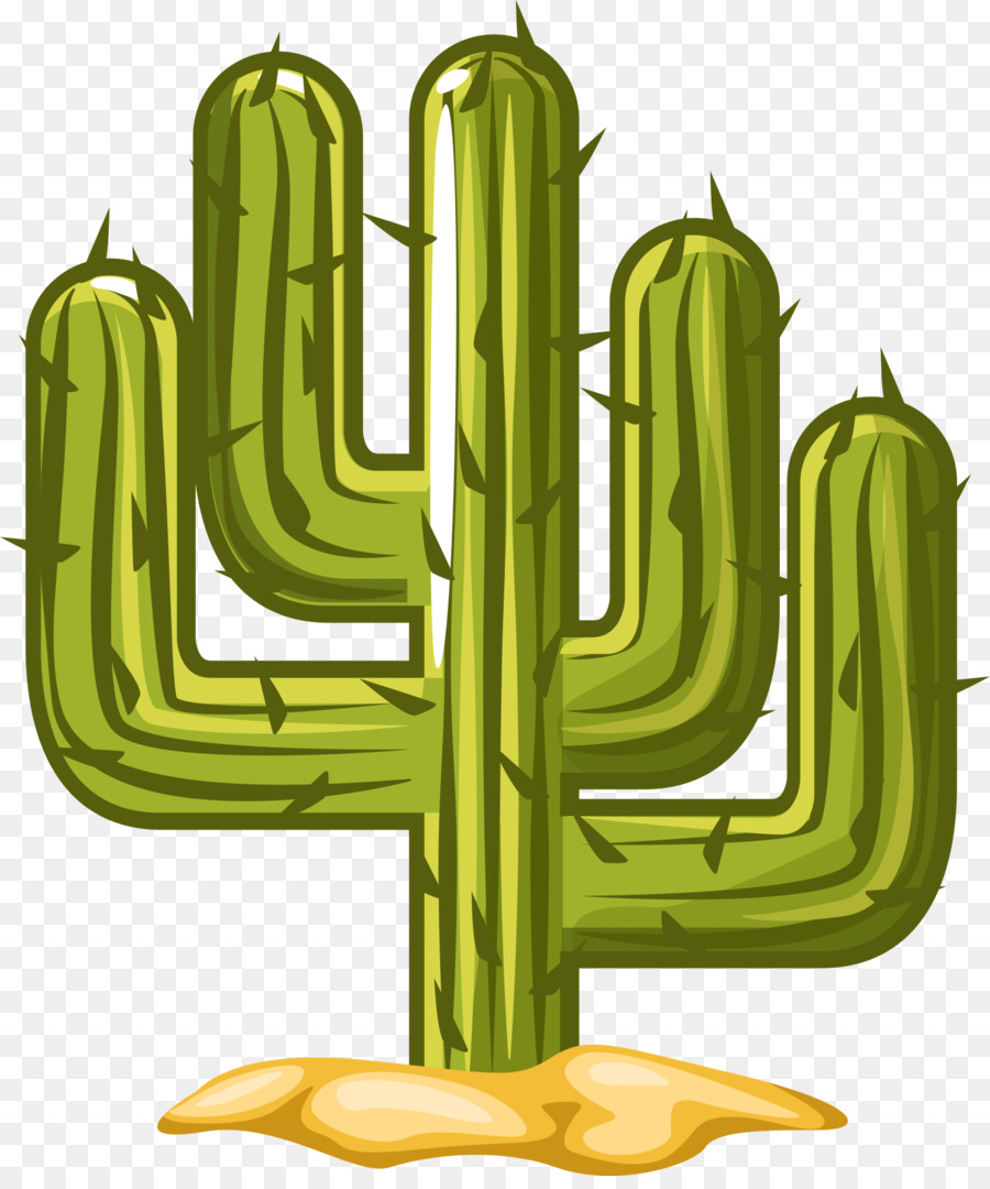 Cactus，Desierto PNG