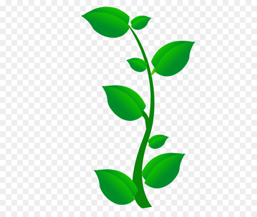 Hojas，Planta PNG