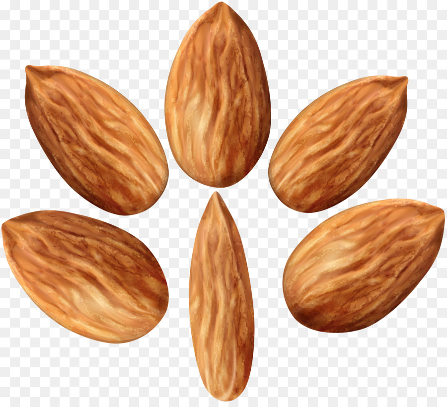 Almendras，Cojones PNG