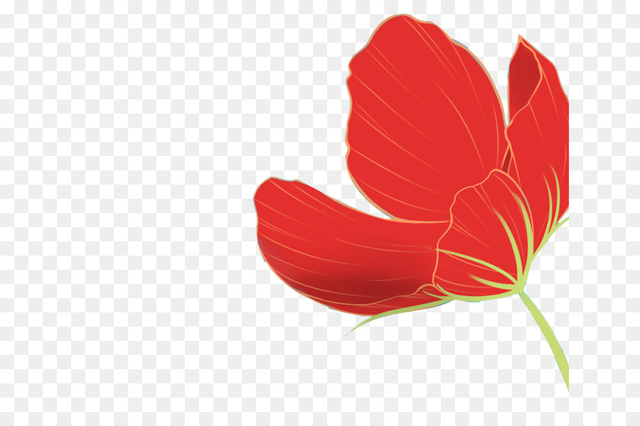 Flor，Rojo PNG