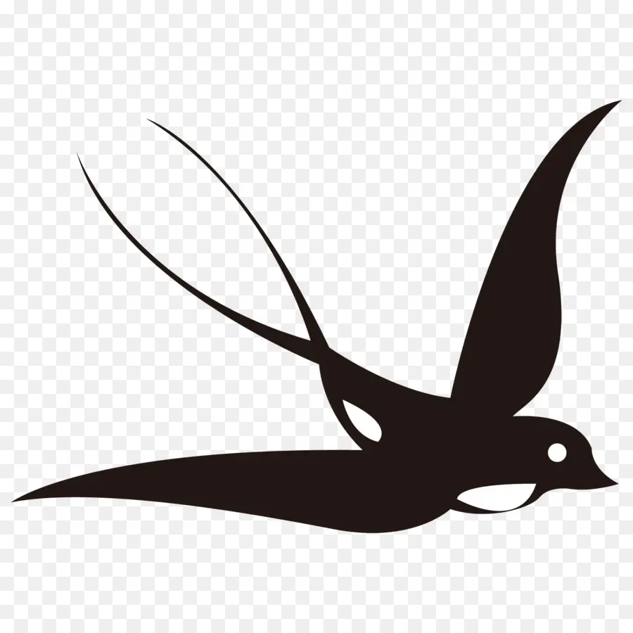 Pájaro，Vuelo PNG