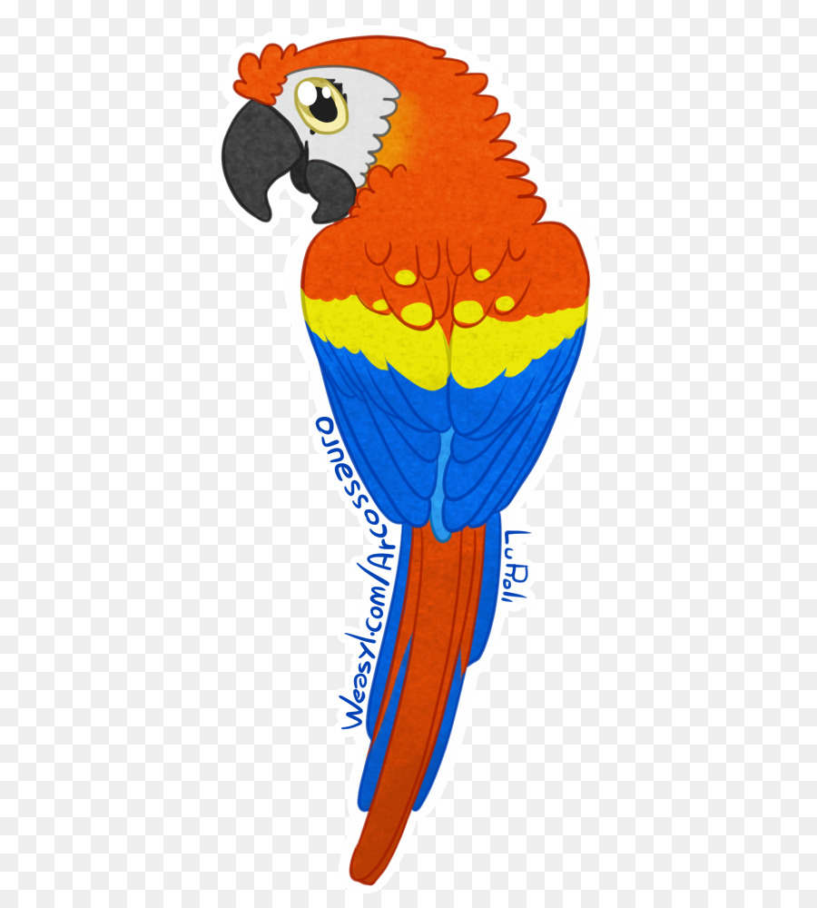 Guacamayo，La Guacamaya Roja PNG