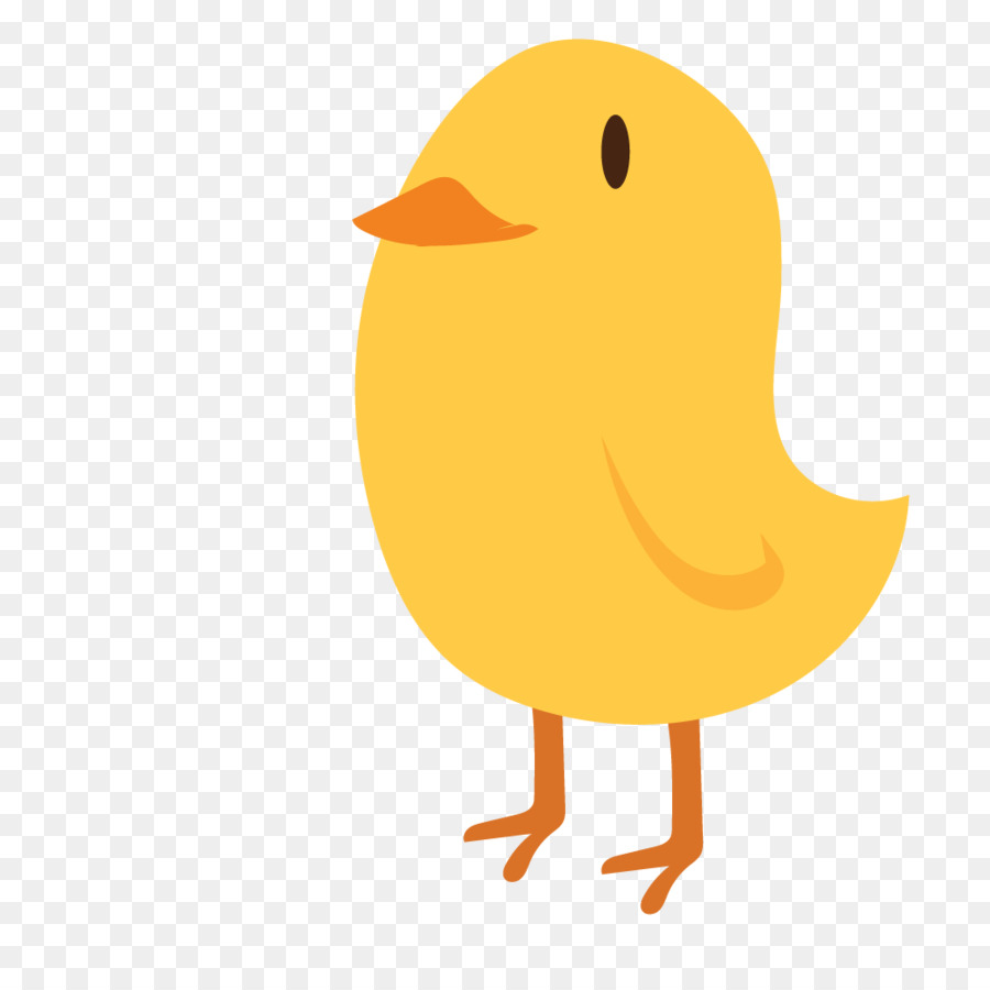 Pollo，Pato PNG