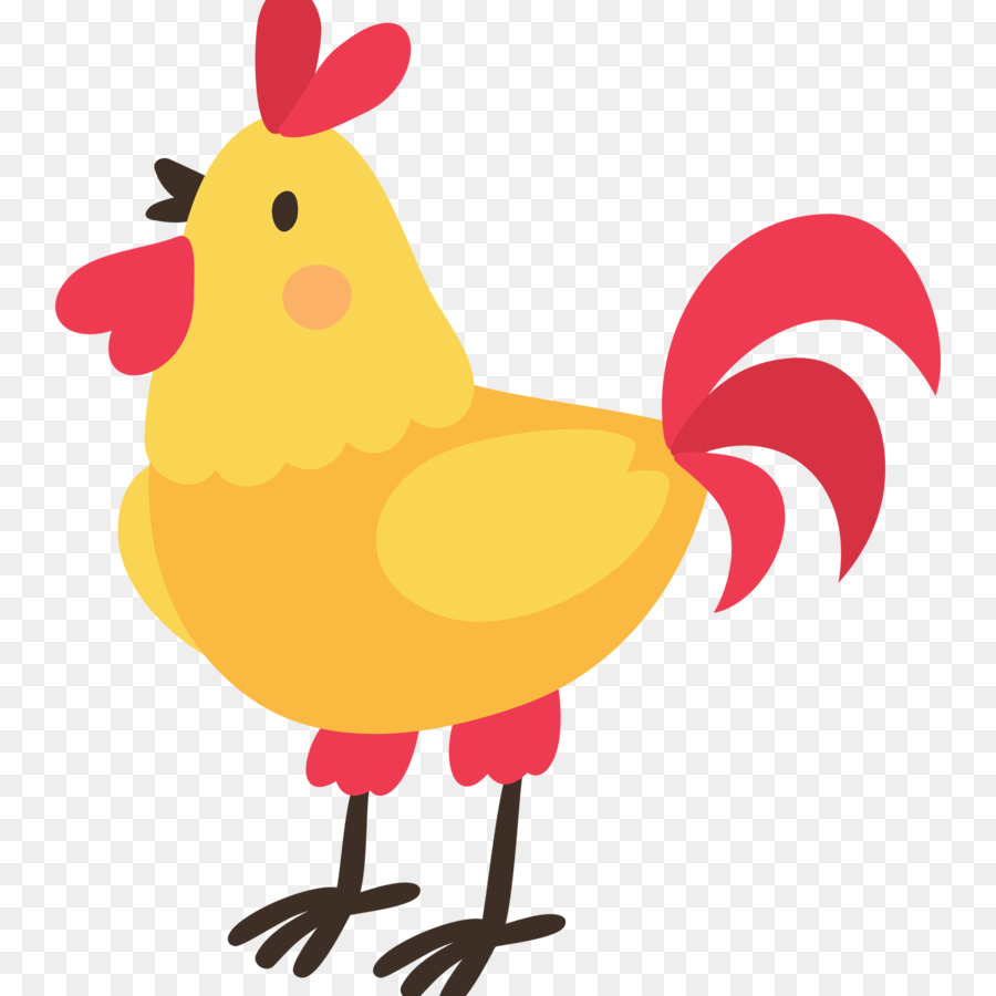 Pollo，Gallo PNG