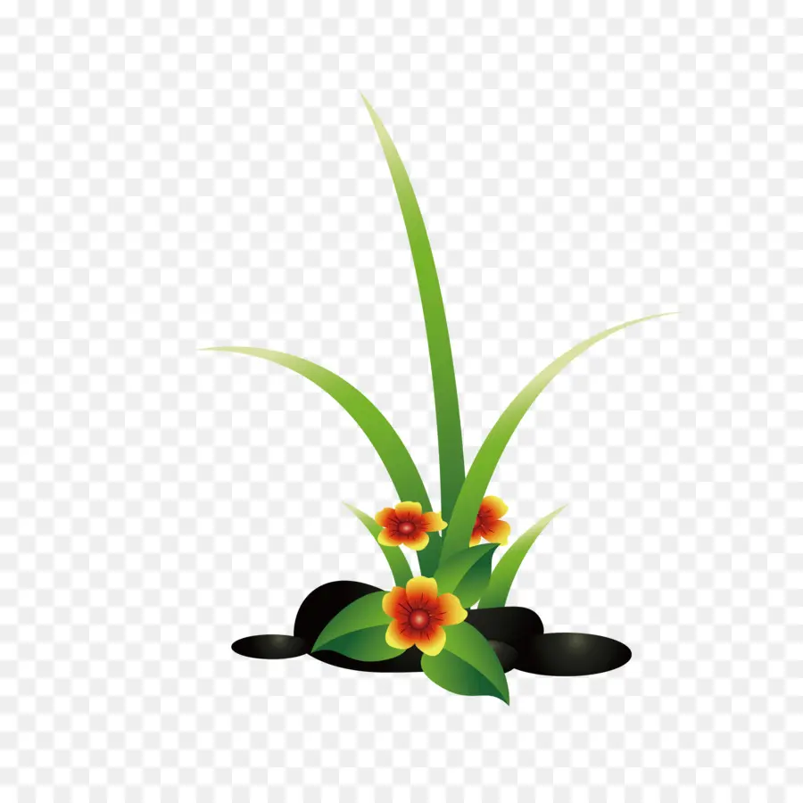 Hierba Y Flores，Plantas PNG