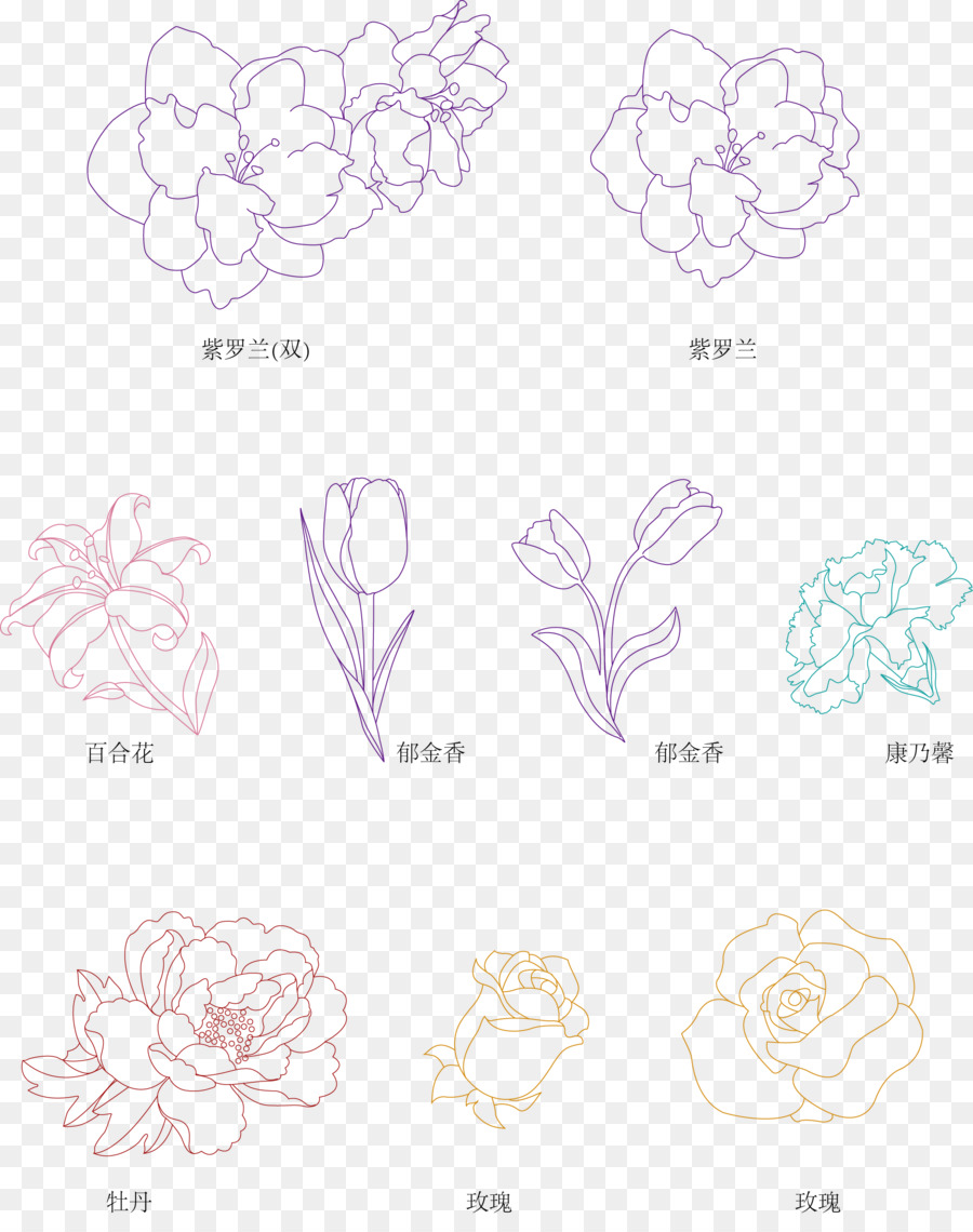 Diseño Floral，Artes Visuales PNG