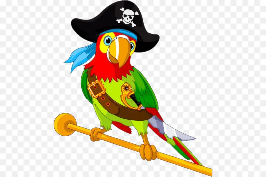 Loro，Pirata Parrot PNG