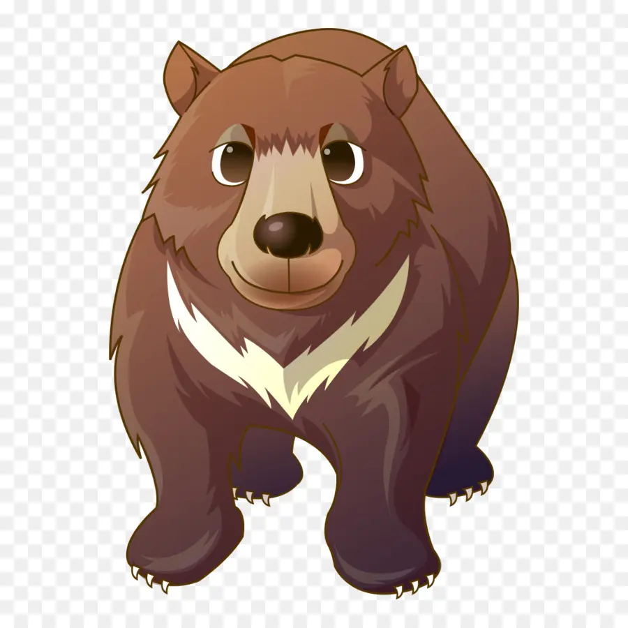 Oso，Oso Polar PNG