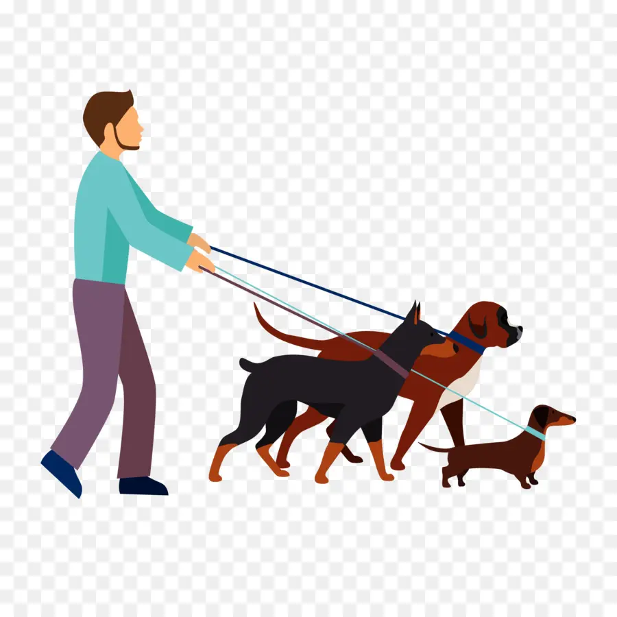 Paseador De Perros，Perros PNG