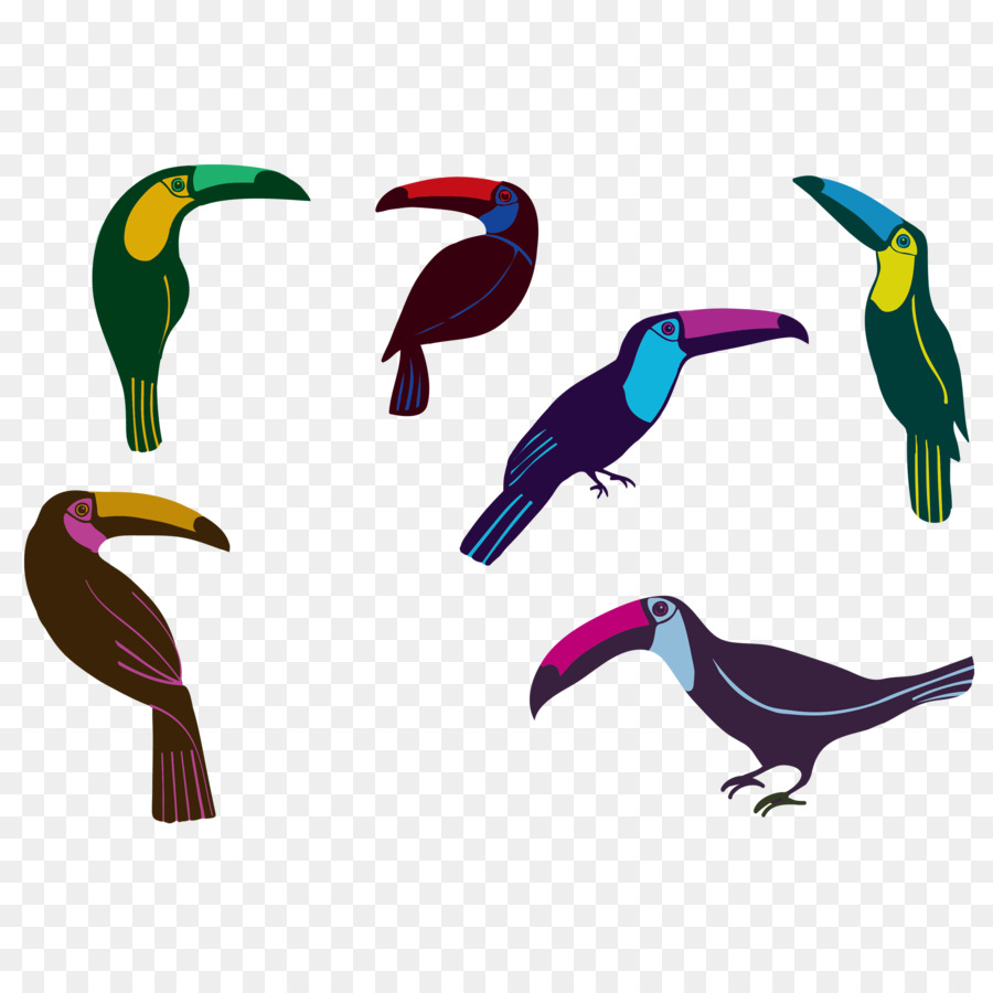 Aves，Loro PNG