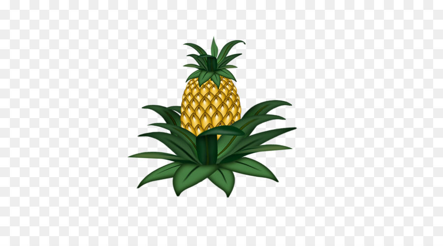 Piña，La Fruta PNG