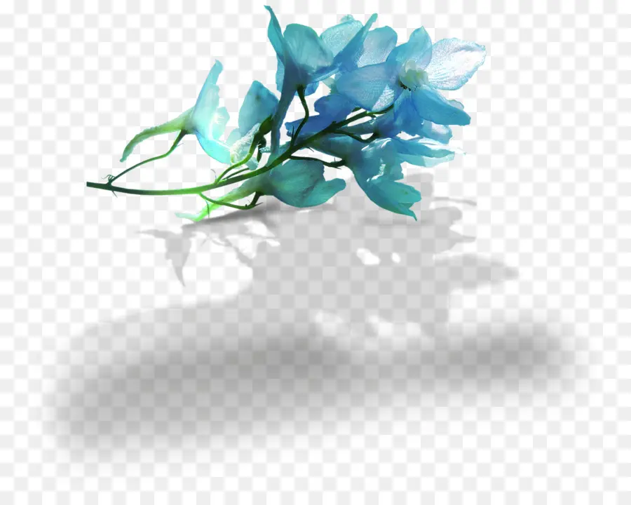 Azul，Flor PNG