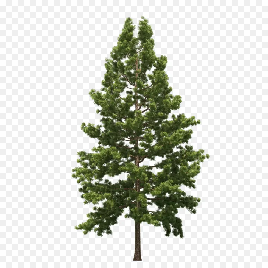 Preiluminados árbol，Árbol De Navidad Artificial PNG