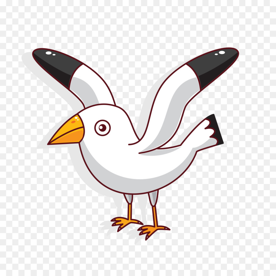 Gaviota，Blanco PNG