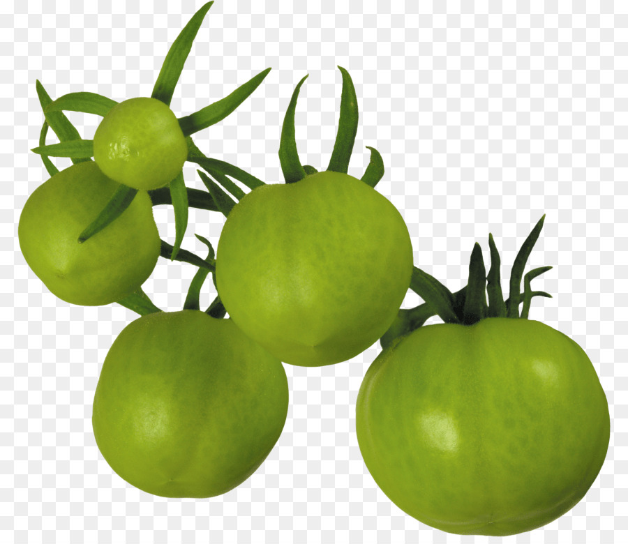 Tomate Verde，Inmaduro PNG