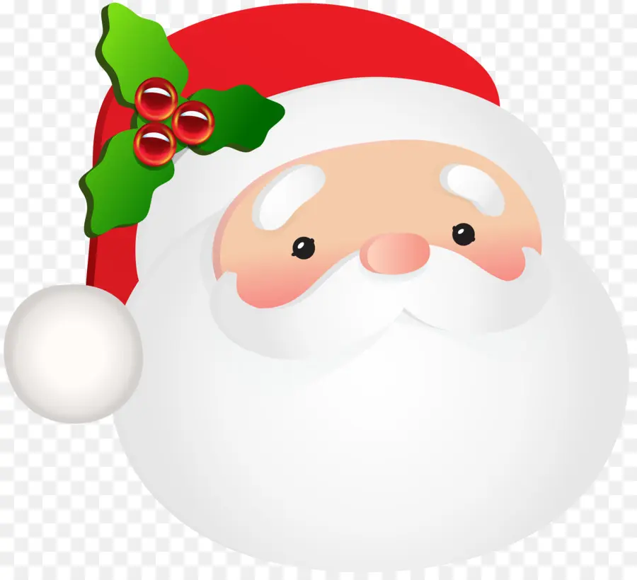 Santa Claus，Diseño Gráfico PNG