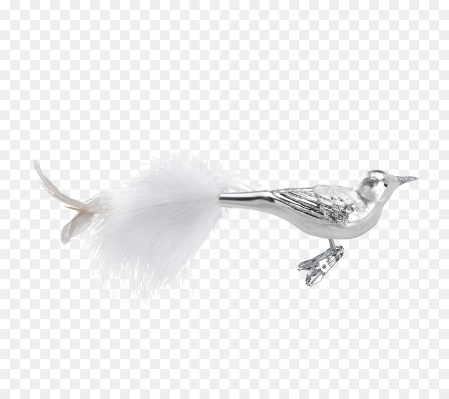 Aves，Pluma PNG