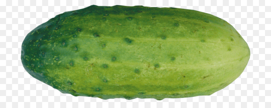 Pepino Encurtido，Pepino PNG