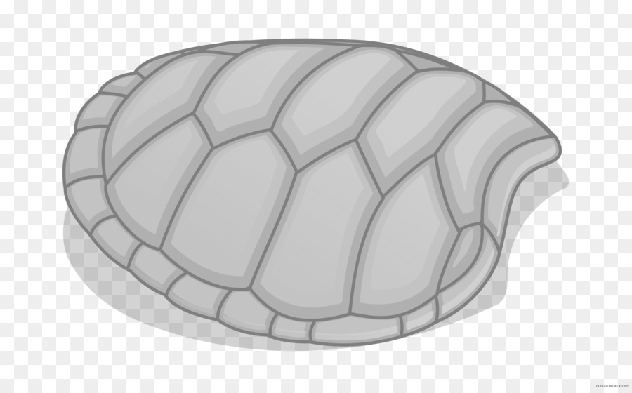 Tortuga，Reptiles PNG