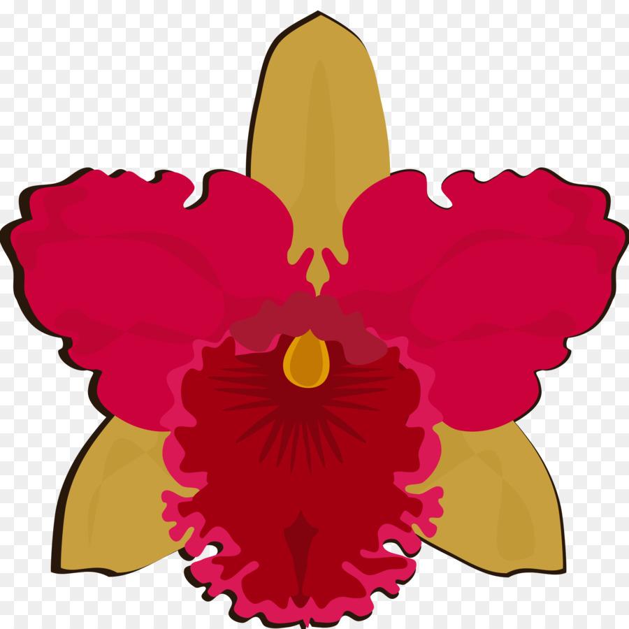 La Polilla De Las Orquídeas，La Floración De La Planta PNG