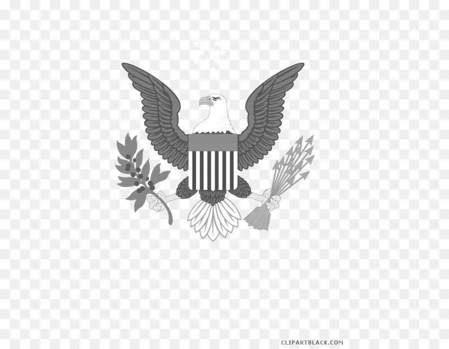 águila Calva，Estados Unidos De América PNG