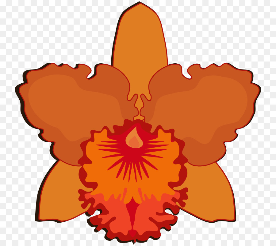 La Floración De La Planta，Dibujo PNG