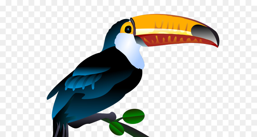 Tucán，Aves PNG