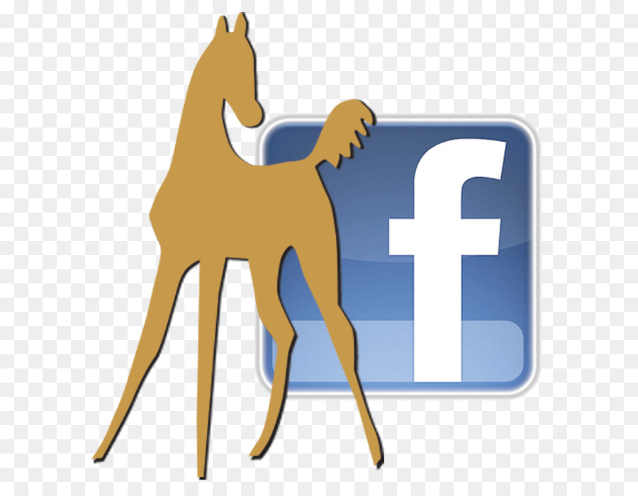 Facebook，Logotipo PNG