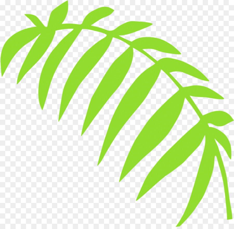 Hoja，Verde PNG