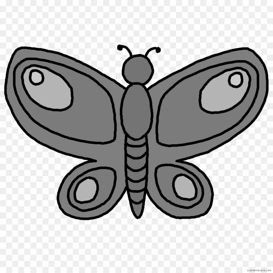 Mariposa，Dibujo PNG