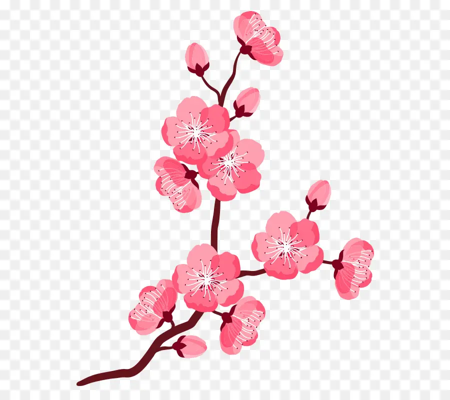 De Los Cerezos En Flor，Flor PNG