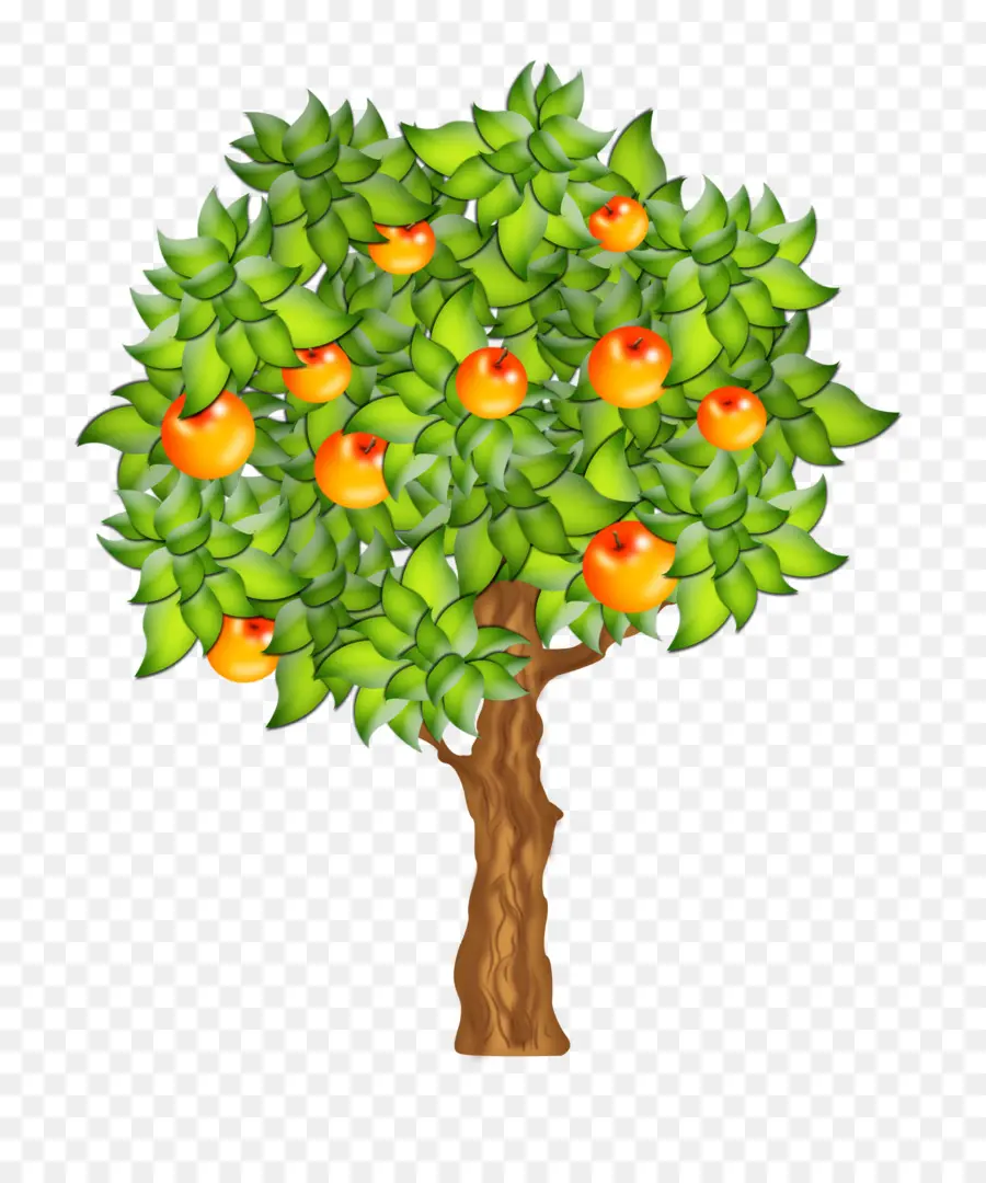 árbol Frutal，Naranjas PNG