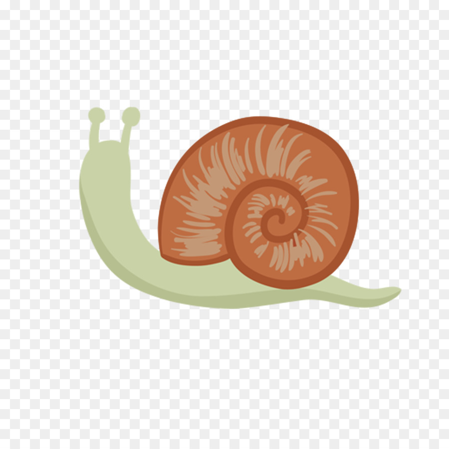 Caracol，La Historieta PNG