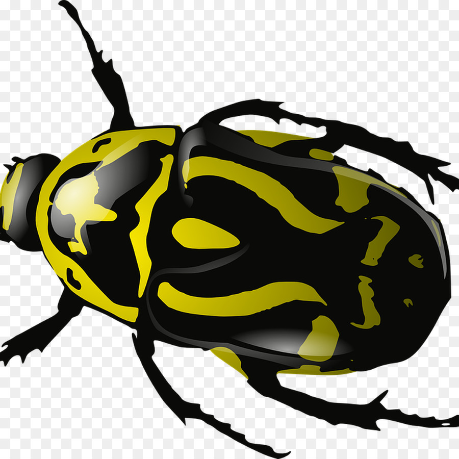 Escarabajo，Bicho PNG