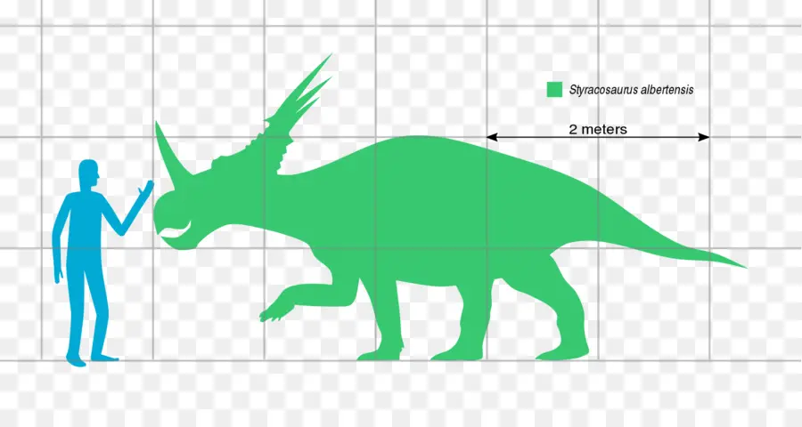 Styracosaurus，Dinosaurio PNG