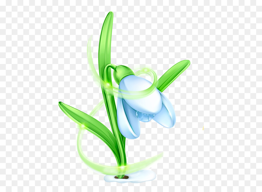 Flor De Campanilla Blanca，Hojas Verdes PNG