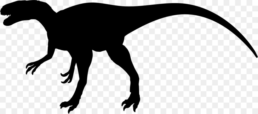 Megalosaurus，Velociraptor PNG