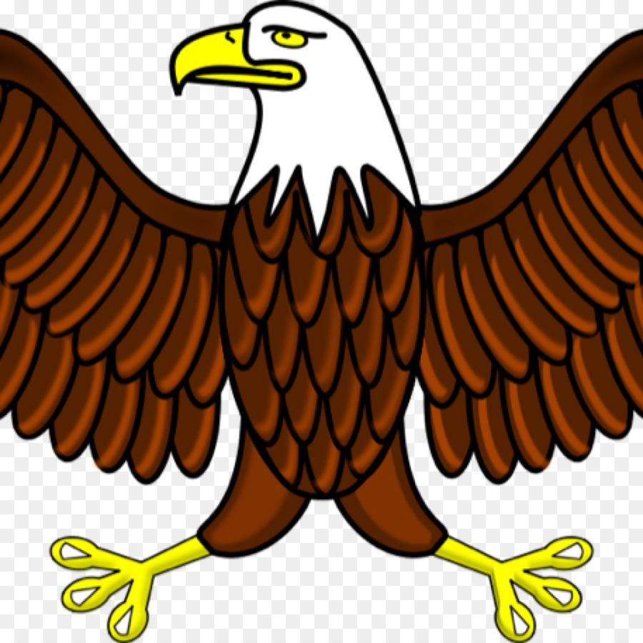 Águila，Pájaro PNG