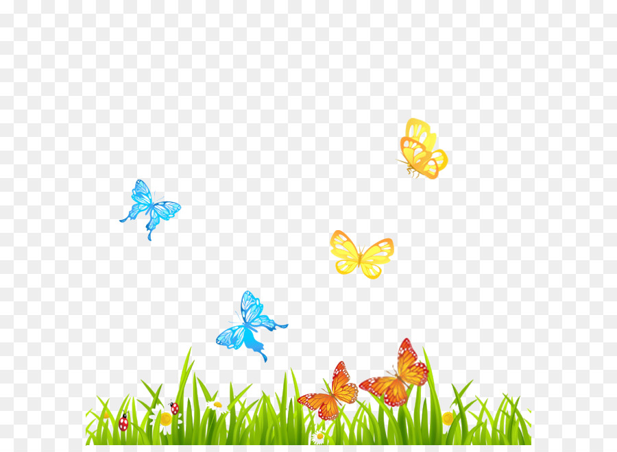 Mariposa，Fondo De Escritorio PNG